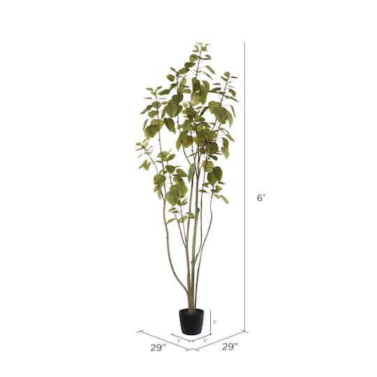 6ft. Potted Green Smoke Tree